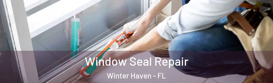 Window Seal Repair Winter Haven - FL